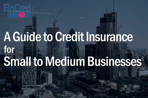 A Guide to Credit Insurance .